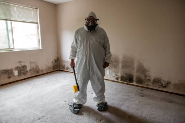 Best Mold Testing and Inspection Services in Hialeah, FL